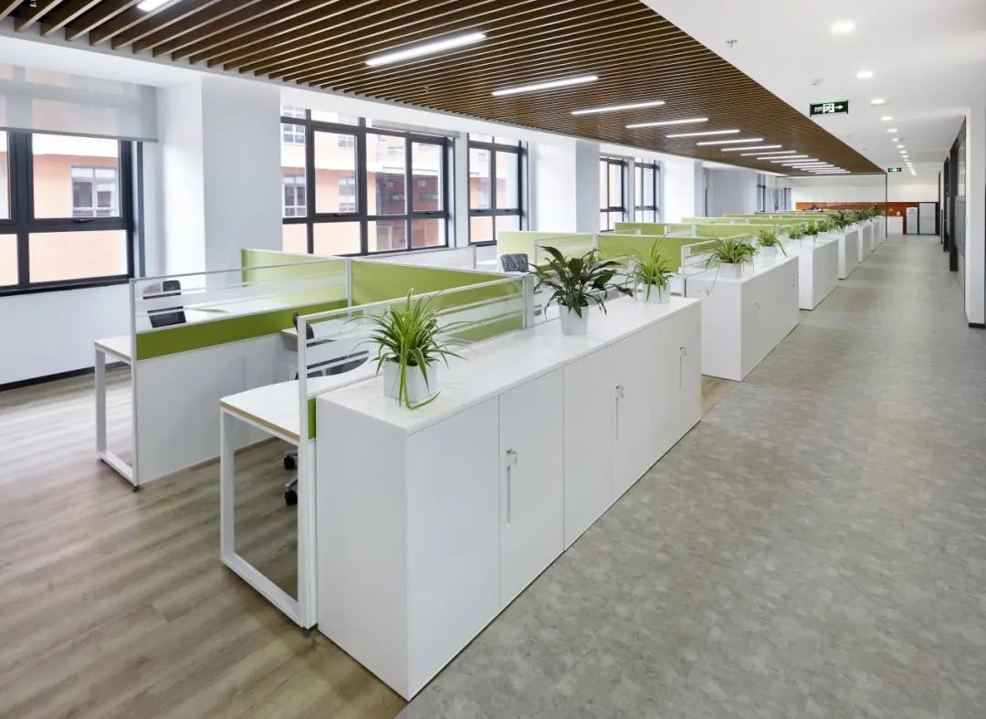 校友风采录|创业艰辛结硕果，情系母校扬风帆