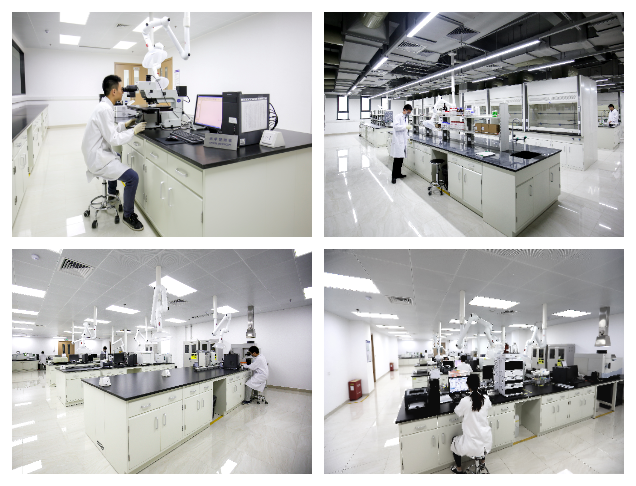 飞跃！新泊地测试事业部扩大团队规模